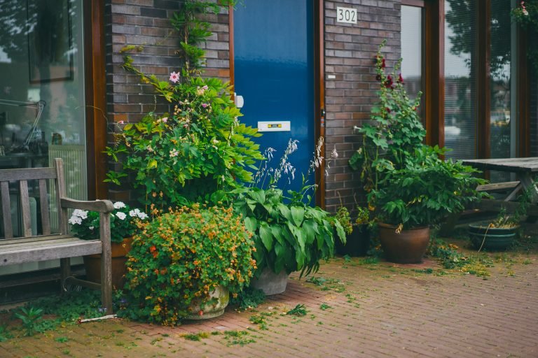 Front door of a brick house framed by potted plants and shrubs