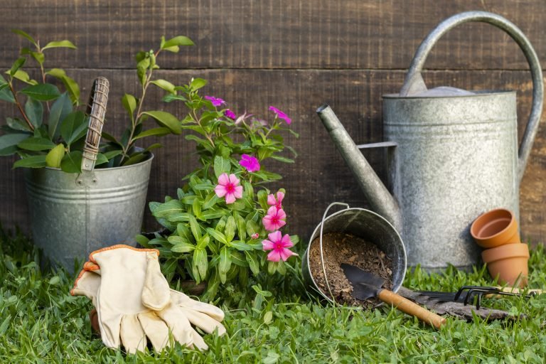 Watering can, gardening gloves and a pot of pink flowers on a lawn