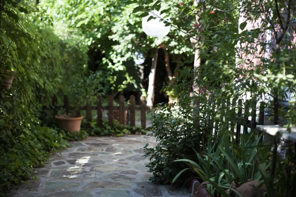 Garden Ideas for Backyard