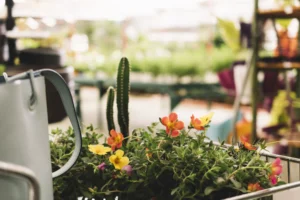 Balcony Garden Ideas