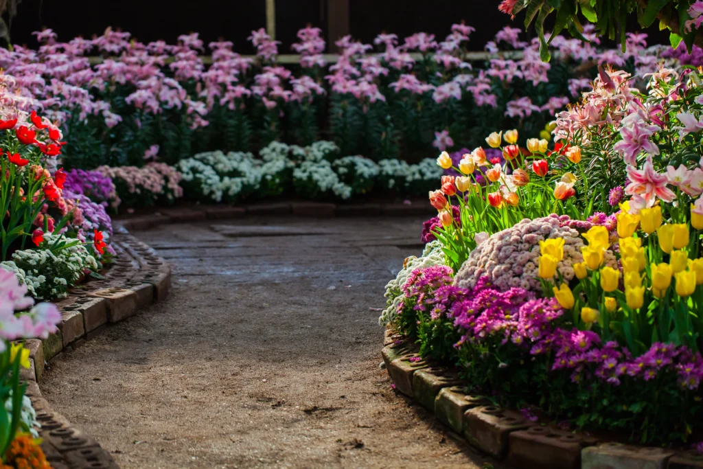 Flower Bed Ideas