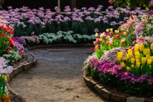 Flower Bed Ideas