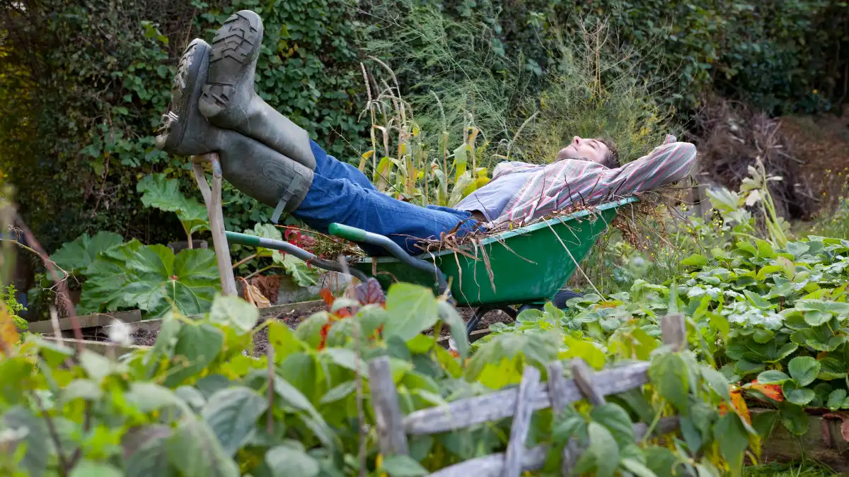 11 Lazy Gardening Tips That Still Get Amazing Results