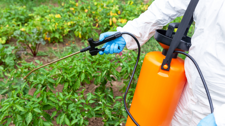 7 Household Items That Work Better Than Store-Bought Weed Killer