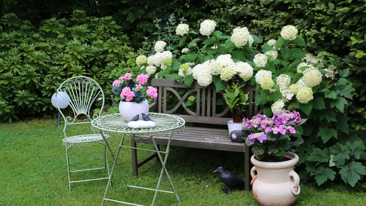 Enjoying Your Summer Garden Again