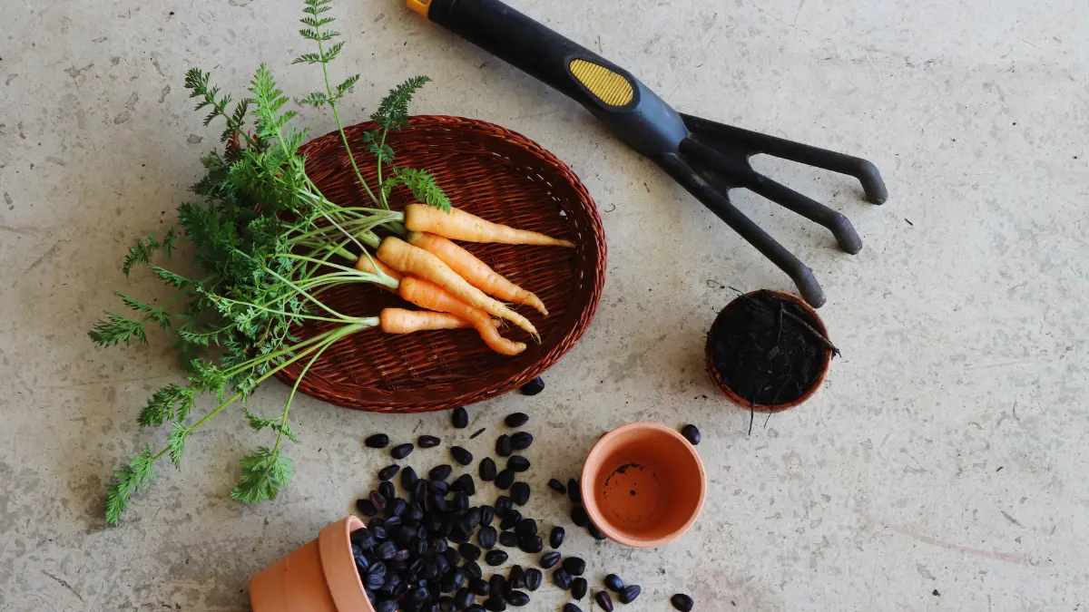 Get Ready for Spring Planting