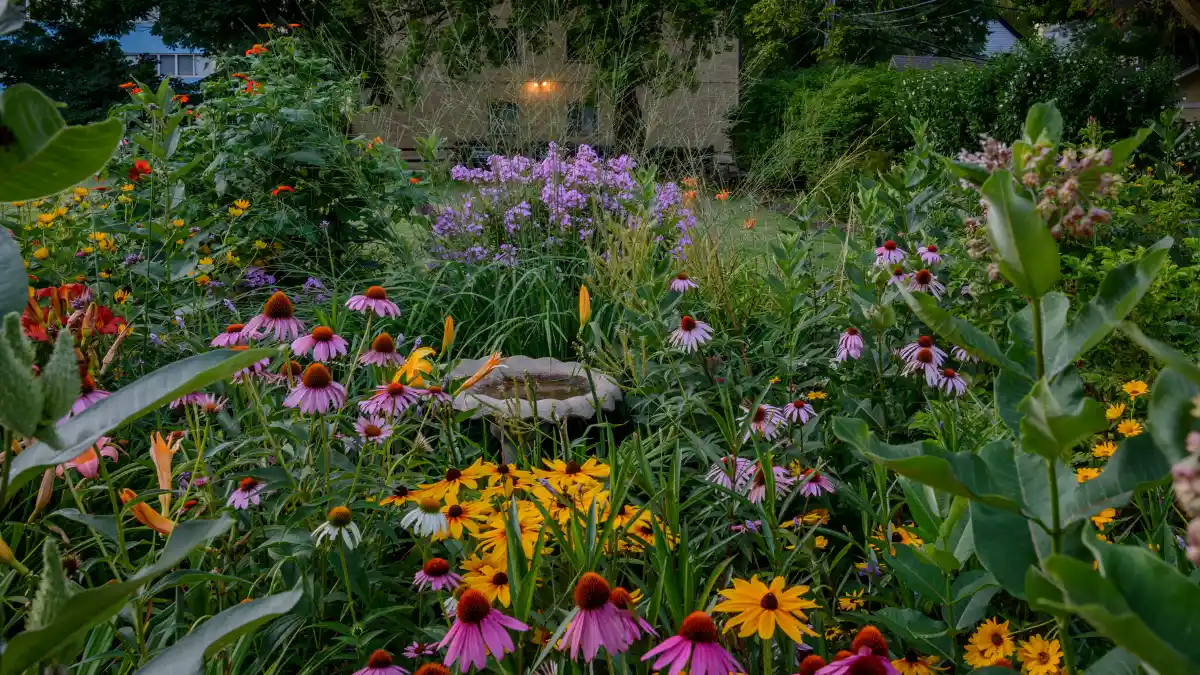 How to Divide Your Existing Perennials for Instant Garden Growth