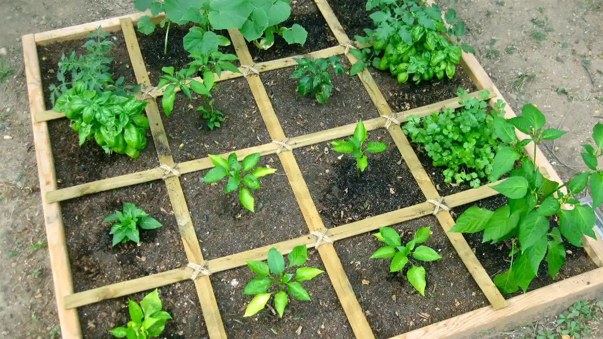 Map a Square Foot Grid to Double Small Space Yields