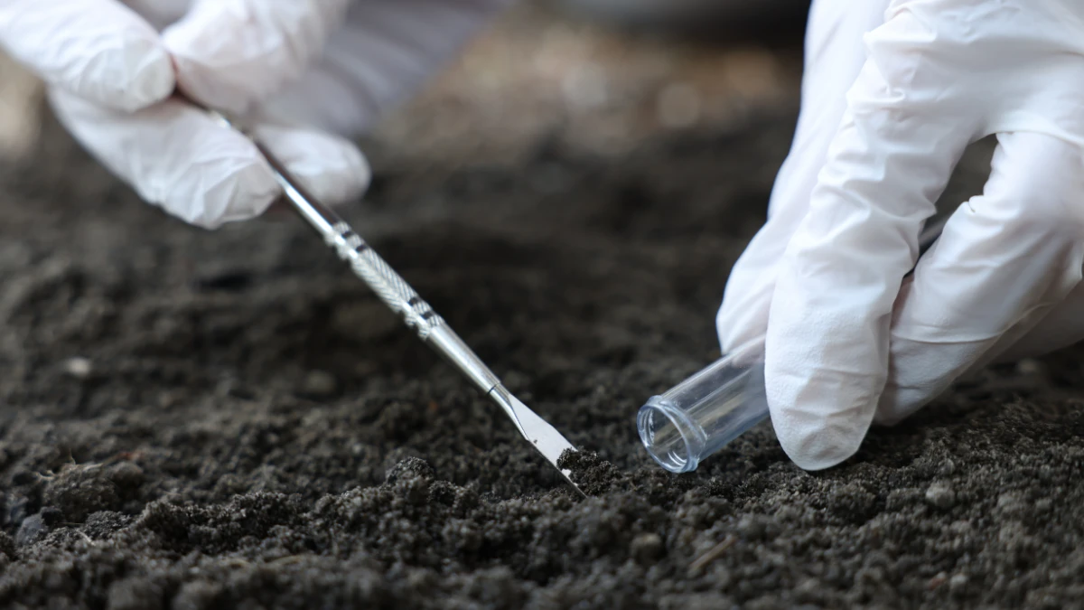 Test and Prepare Your Soil for Planting