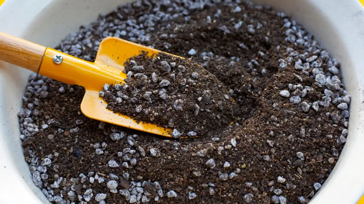 Using Old or Poor Quality Potting Soil