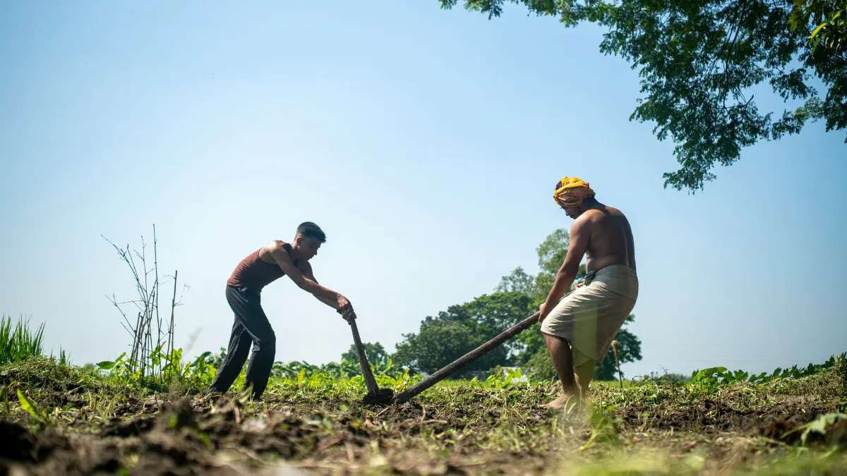 Where Can You Find Local Community Plant Swaps?