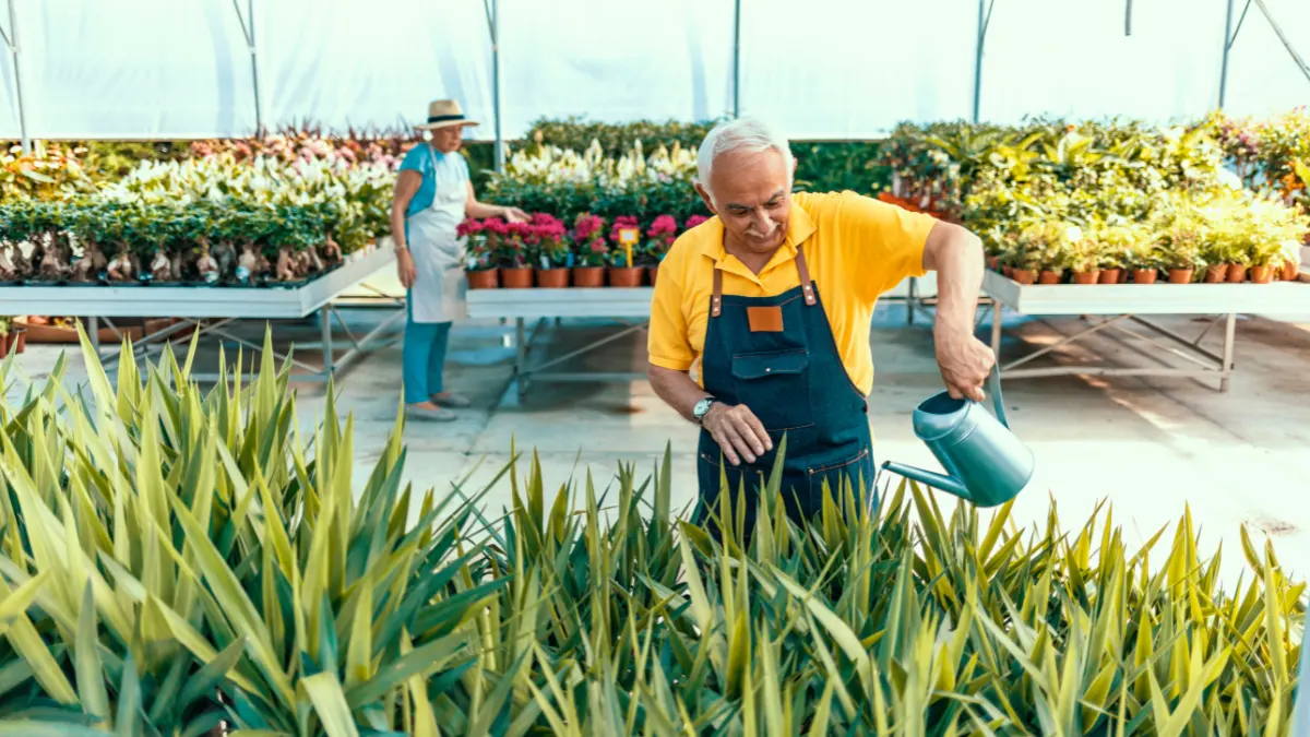 Why Young Plants Need Time to Establish